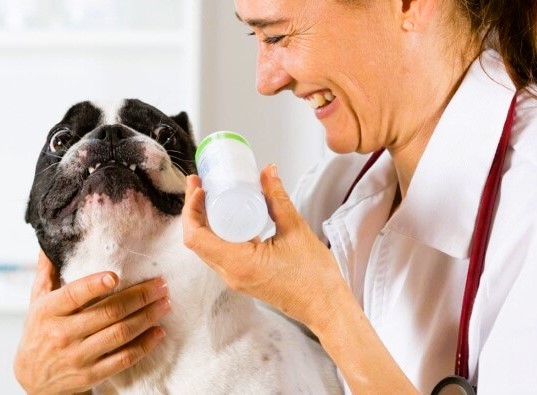 veterinaria-BIBERON-3